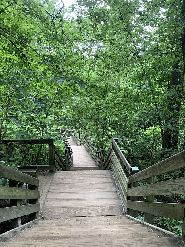 Wooden Walkways at Starved Rock State Park